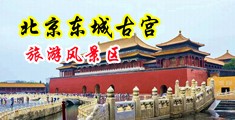 插逼逼视频下载安装中国北京-东城古宫旅游风景区